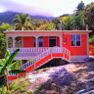 Meet your Posher, Frederick